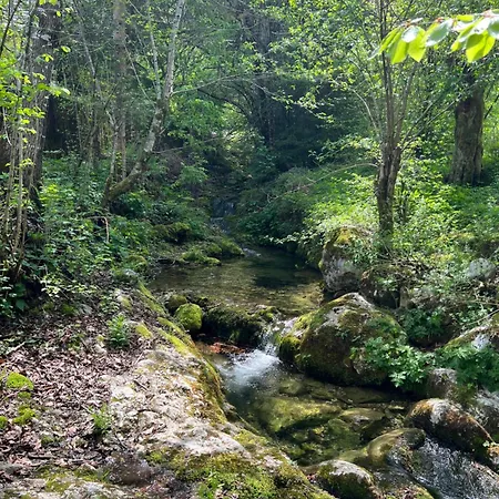 Feriehus Creek House