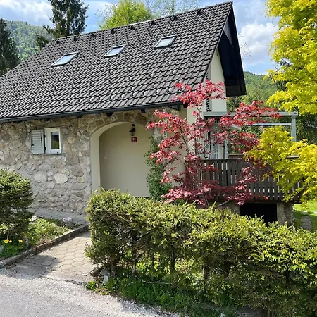 Creek House Holiday home *