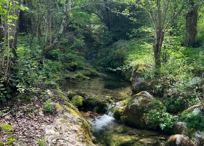 Ferienhaus Creek House